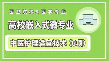 敷熨类、推拿类、拔罐类、针刺类、刮痧类、灸类-微专业